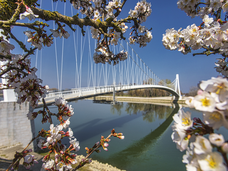Gdje za vikend? Osijek vas čeka u proljetnom ruhu